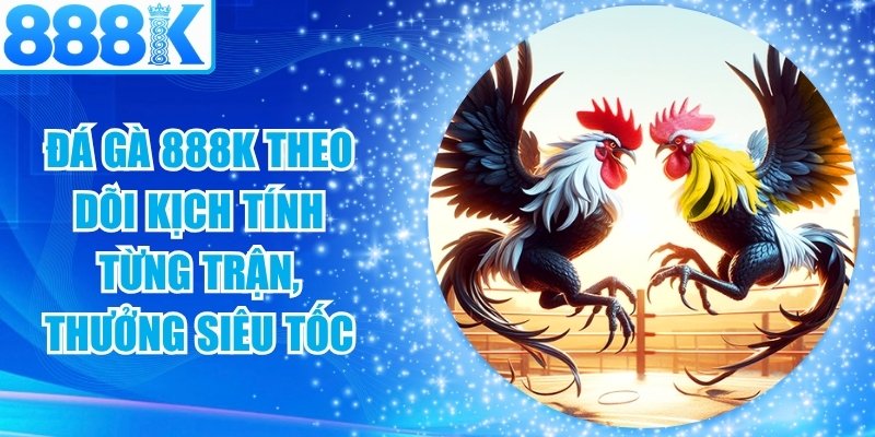 Đá Gà 888K