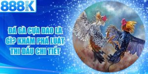 Đá Gà Cựa Dao Là Gì